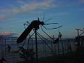 Mosquito