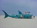Sharkcar